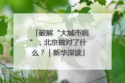 破解“大城市病”，北京做对了什么？｜新华深读