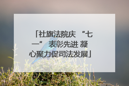 社旗法院庆 “七一” 表彰先进 凝心聚力促司法发展
