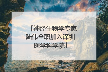 神经生物学专家陆伟全职加入深圳医学科学院