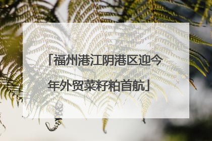 福州港江阴港区迎今年外贸菜籽粕首航