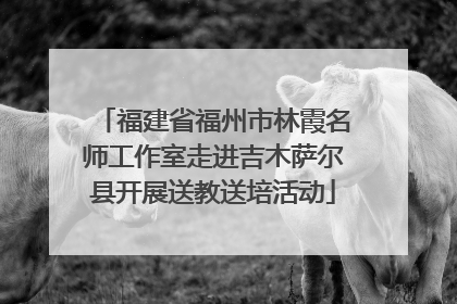 福建省福州市林霞名师工作室走进吉木萨尔县开展送教送培活动