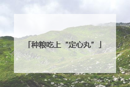 种粮吃上“定心丸”