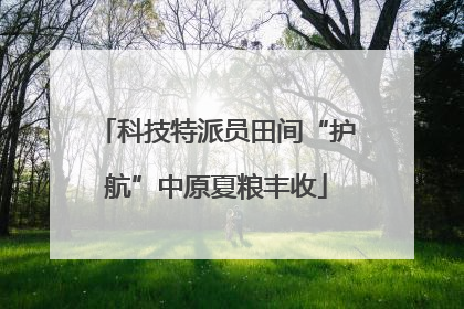 科技特派员田间“护航”中原夏粮丰收