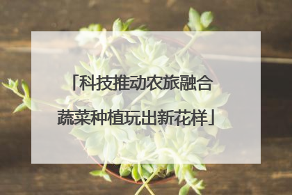 科技推动农旅融合 蔬菜种植玩出新花样