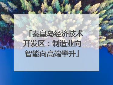 秦皇岛经济技术开发区：制造业向智能向高端攀升