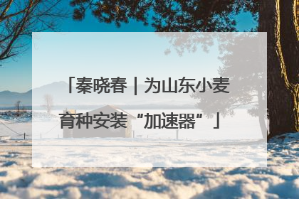 秦晓春｜为山东小麦育种安装“加速器”