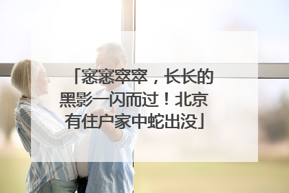 窸窸窣窣，长长的黑影一闪而过！北京有住户家中蛇出没