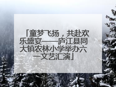 童梦飞扬，共赴欢乐盛宴——庐江县同大镇农林小学举办六一文艺汇演