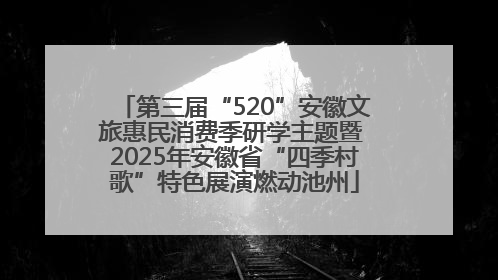 第三届“520”安徽文旅惠民消费季研学主题暨 2025年安徽省“四季村歌”特色展演燃动池州