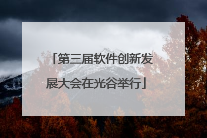 第三届软件创新发展大会在光谷举行