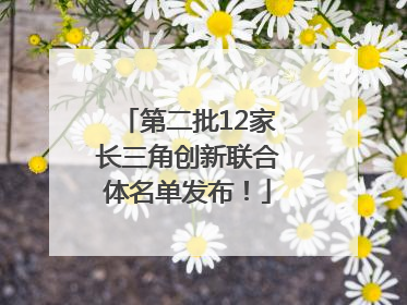 第二批12家长三角创新联合体名单发布！