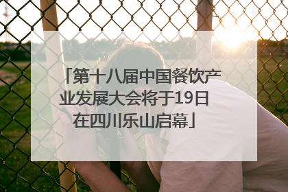 第十八届中国餐饮产业发展大会将于19日在四川乐山启幕