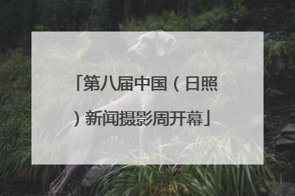 第八届中国（日照）新闻摄影周开幕