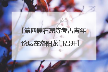 第四届石窟寺考古青年论坛在洛阳龙门召开