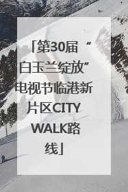 第30届“白玉兰绽放”电视节临港新片区CITY WALK路线
