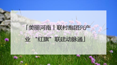 美丽河南丨联村抱团兴产业 “红旗”联建动脉通