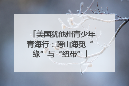 美国犹他州青少年青海行：跨山海觅“缘”与“纽带”