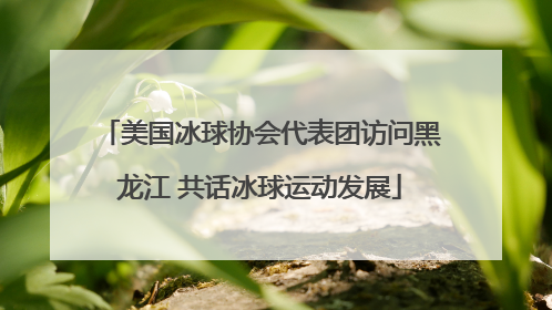 美国冰球协会代表团访问黑龙江 共话冰球运动发展