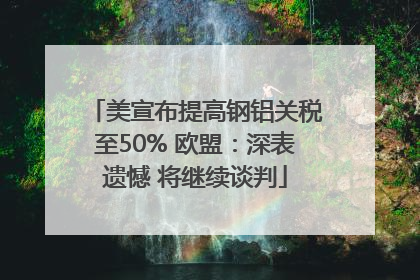 美宣布提高钢铝关税至50% 欧盟：深表遗憾 将继续谈判