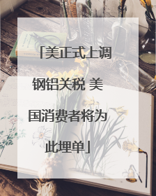 美正式上调钢铝关税 美国消费者将为此埋单