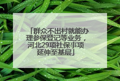群众不出村就能办理参保登记等业务，河北29项社保事项延伸至基层