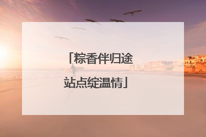 粽香伴归途 站点绽温情