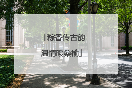 粽香传古韵 温情暖桑榆