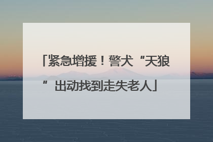 紧急增援！警犬“天狼”出动找到走失老人