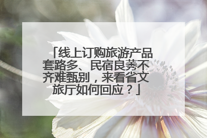 线上订购旅游产品套路多、民宿良莠不齐难甄别，来看省文旅厅如何回应？