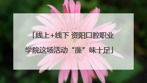 线上+线下 资阳口腔职业学院这场活动“廉”味十足