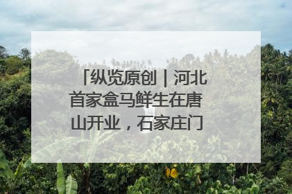 纵览原创｜河北首家盒马鲜生在唐山开业，石家庄门店预计8月开业