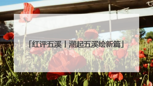 红评五溪丨潮起五溪绘新篇