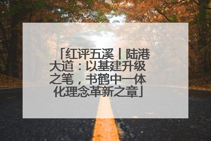 红评五溪丨陆港大道：以基建升级之笔，书鹤中一体化理念革新之章