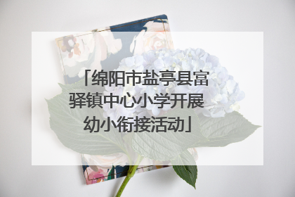 绵阳市盐亭县富驿镇中心小学开展幼小衔接活动