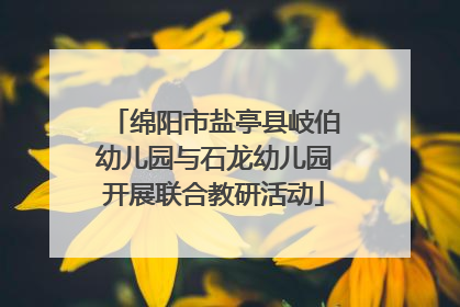 绵阳市盐亭县岐伯幼儿园与石龙幼儿园开展联合教研活动