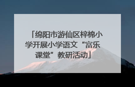 绵阳市游仙区梓棉小学开展小学语文“富乐课堂”教研活动