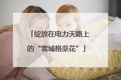 绽放在电力天路上的“雪域格桑花”