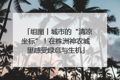 组图丨城市的“清凉坐标”！在株洲神农城里感受绿意与生机