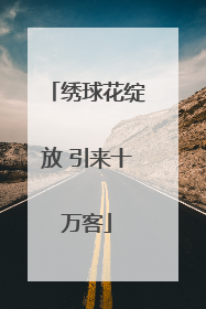 绣球花绽放 引来十万客