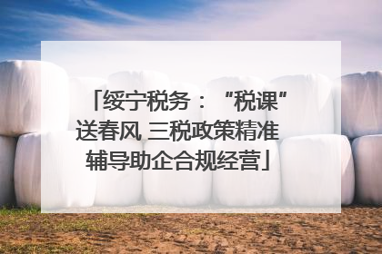 绥宁税务：“税课”送春风 三税政策精准辅导助企合规经营