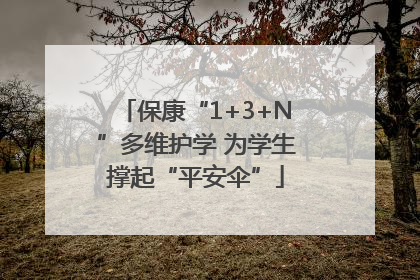 保康“1+3+N”多维护学 为学生撑起“平安伞”