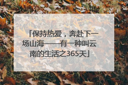 保持热爱，奔赴下一场山海——有一种叫云南的生活之365天