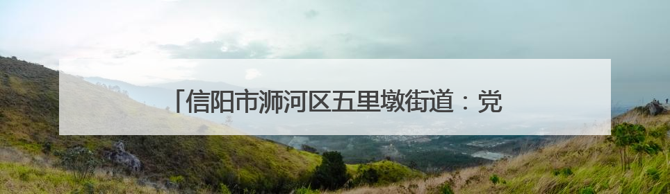 信阳市浉河区五里墩街道：党建穿针引线 治理织就锦图