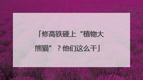 修高铁碰上“植物大熊猫”？他们这么干