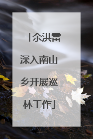 余洪雷深入南山乡开展巡林工作