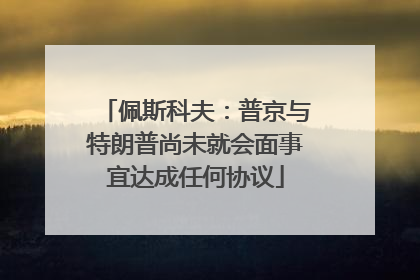 佩斯科夫：普京与特朗普尚未就会面事宜达成任何协议
