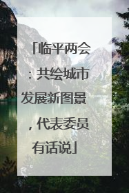临平两会：共绘城市发展新图景，代表委员有话说