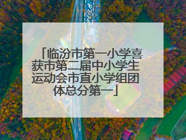 临汾市第一小学喜获市第二届中小学生运动会市直小学组团体总分第一