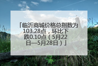 临沂商城价格总指数为103.28点，环比下跌0.10点（5月22日—5月28日）