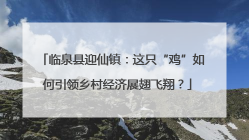 临泉县迎仙镇：这只“鸡”如何引领乡村经济展翅飞翔？